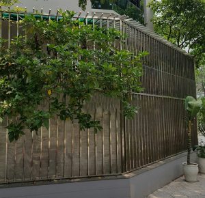 hàng rào